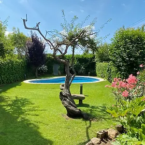 Magnolia Vidreres